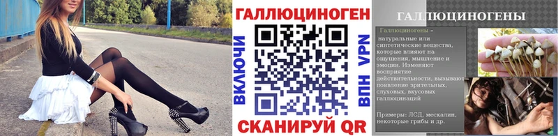 Псилоцибиновые грибы прущие грибы  Вичуга 